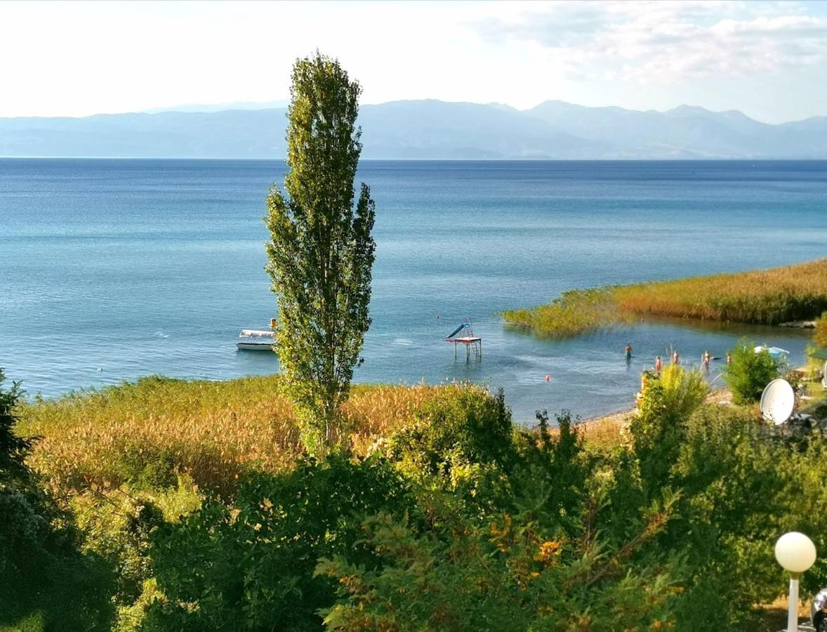Villa Kalina Ohrid Exteriör bild